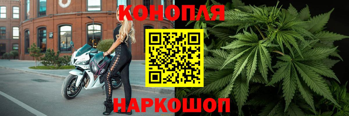Марихуана Bruce Banner  Марихуана конопля  Вход с VPN  Салехард  Конопля план 